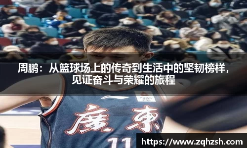 完美体育登录入口